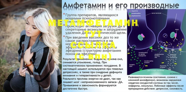 стафф Новокубанск