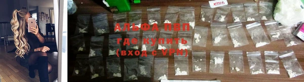 стафф Новокубанск