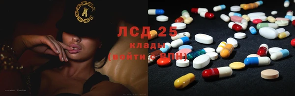 прущие грибы Новозыбков